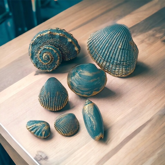 7 Striking Natural Shells For Your Beach Decor - Picture 3 of 4